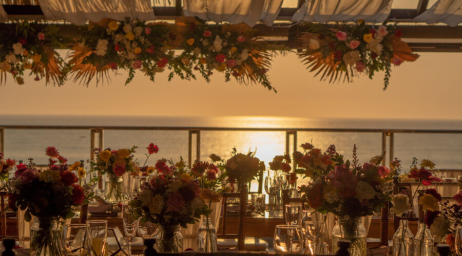 Dinner on the Rooftop