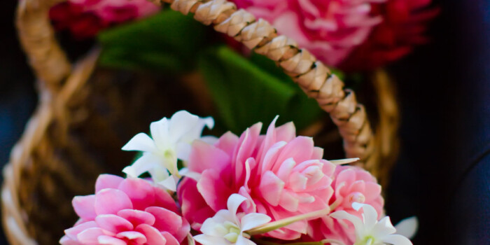 Warwick Fiji