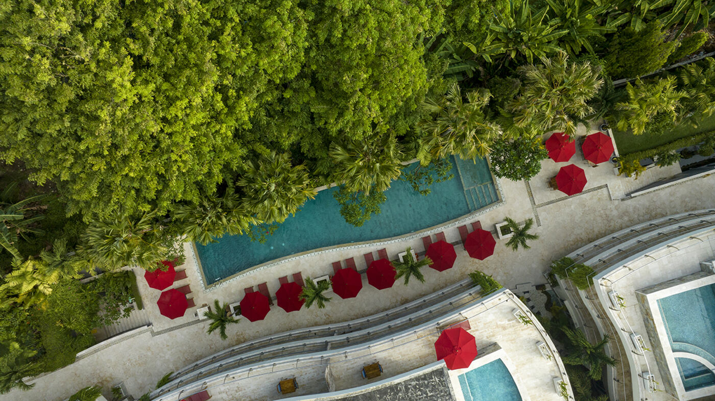 Pool and Gardens
