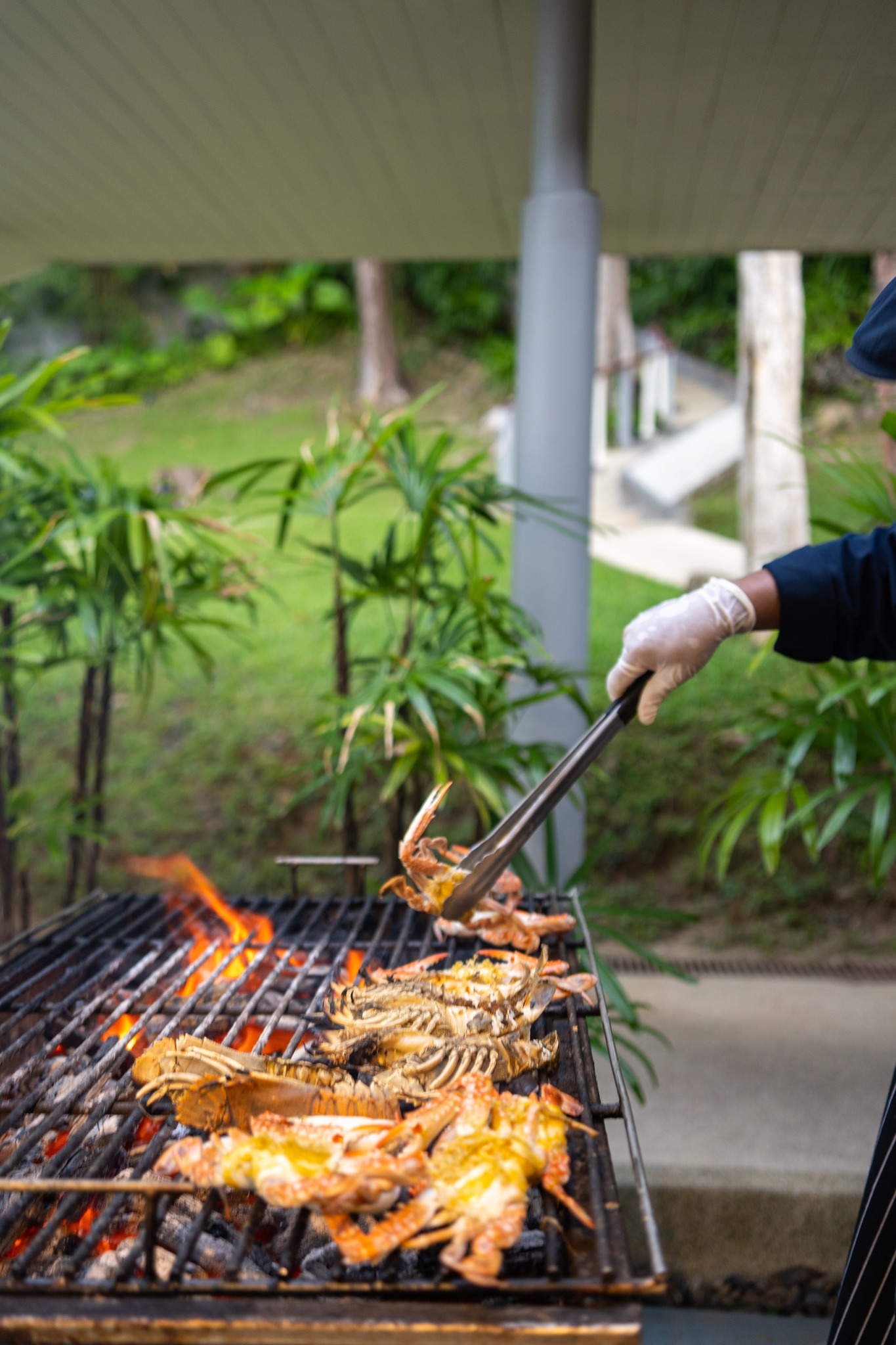 Buffet BBQ Dinner
