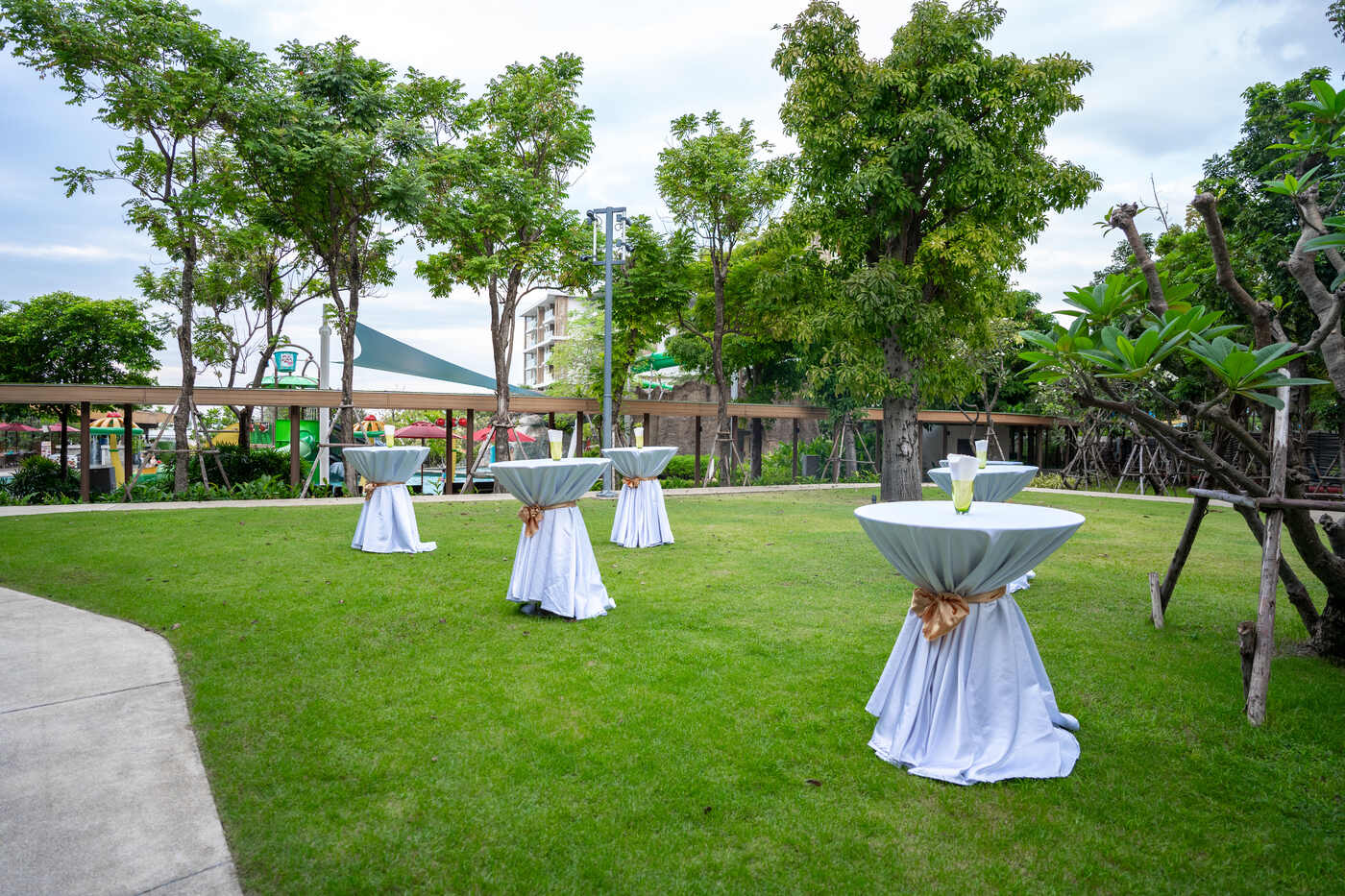 Beach lawn