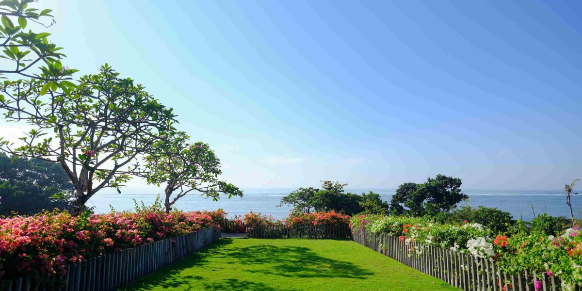 Rooftop Garden