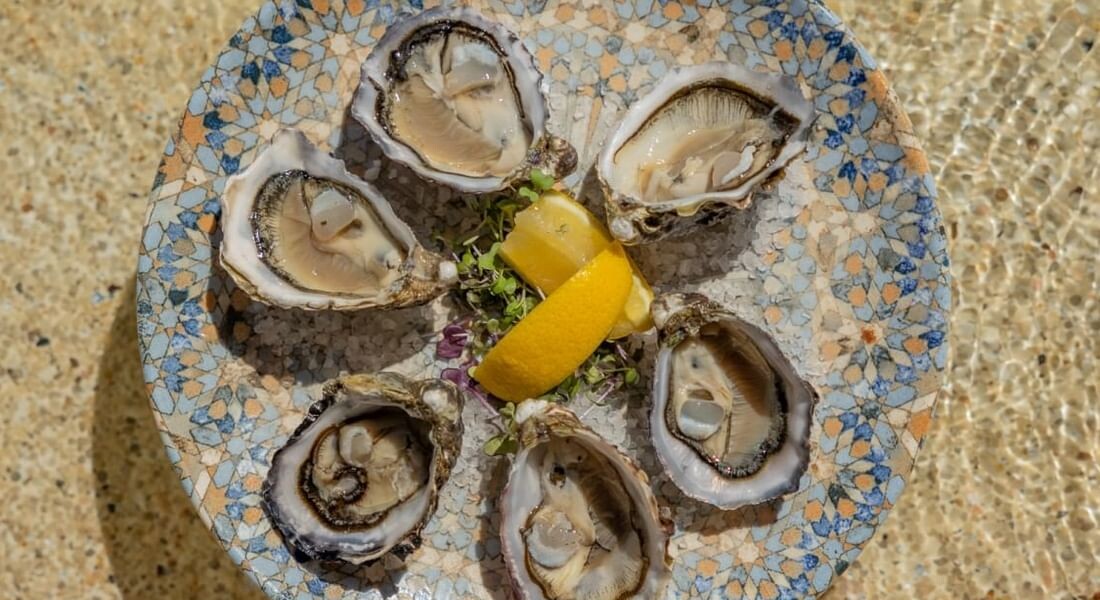  Oysters 