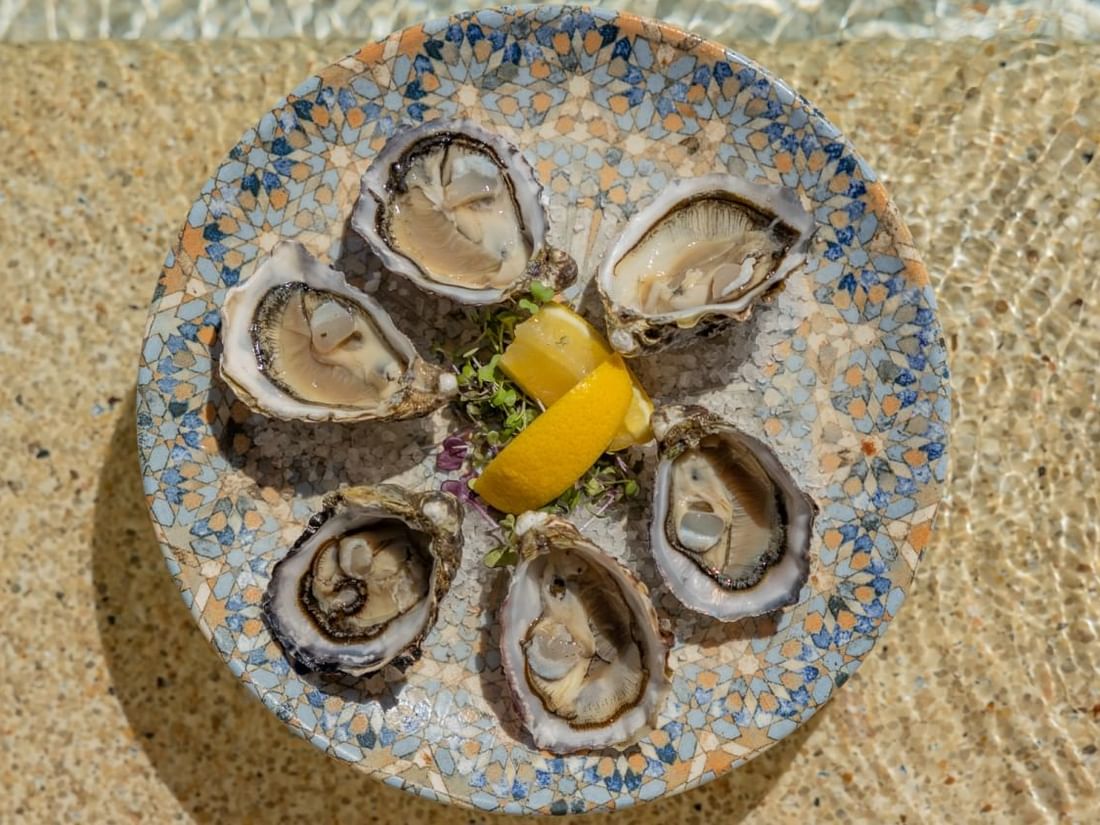  Oysters 