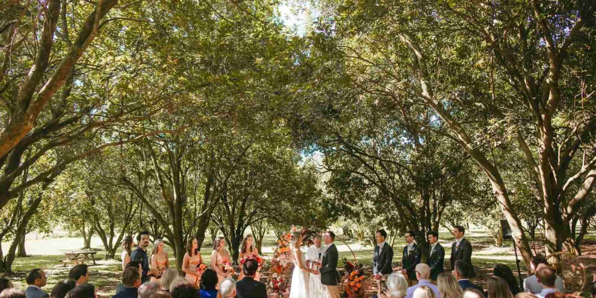 Macadamia Orchard