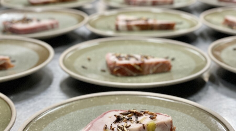 Wild Water Dining & Drinks 