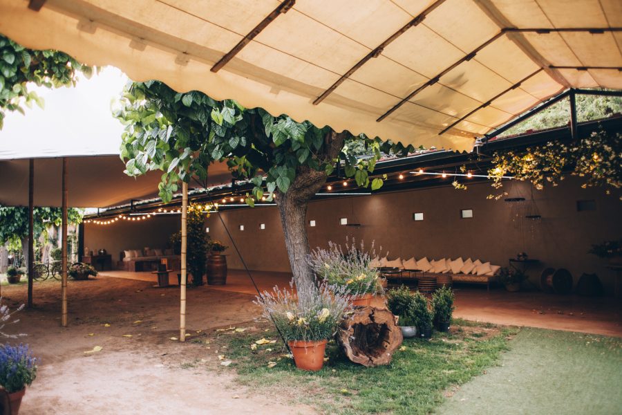 Plan B Covered Space