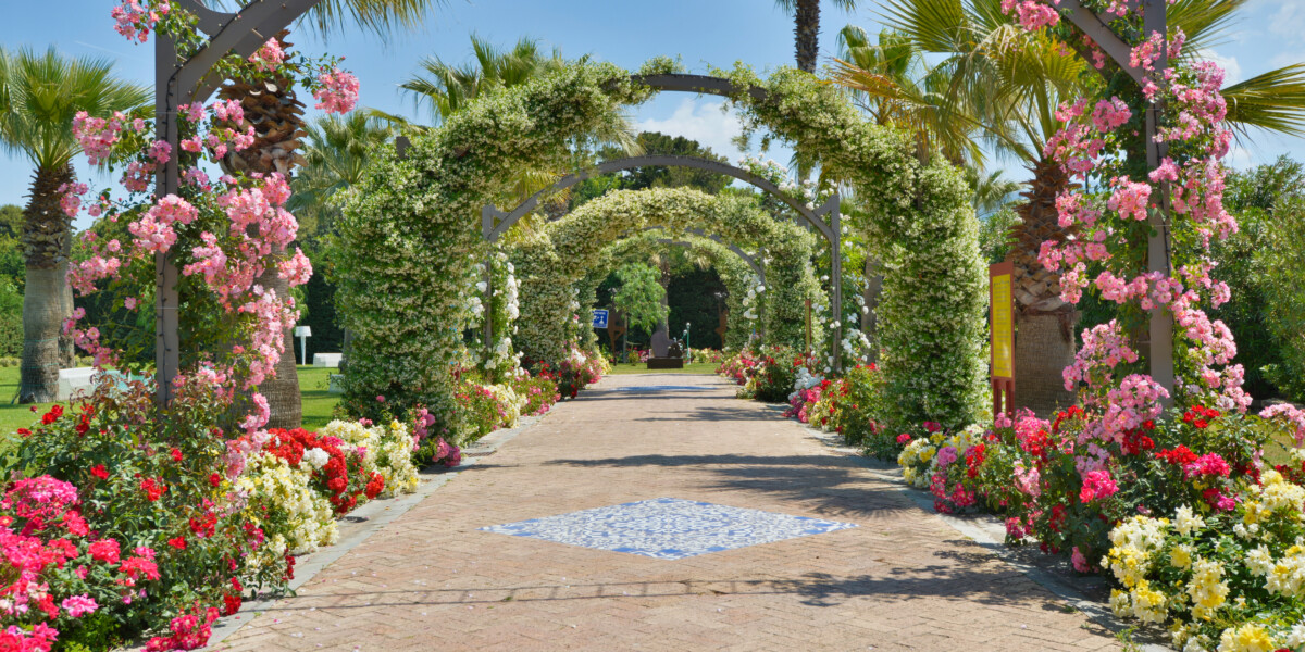 The Majolica Garden