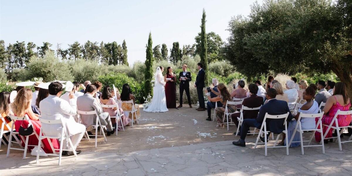 Beneath the Cypress Trees
